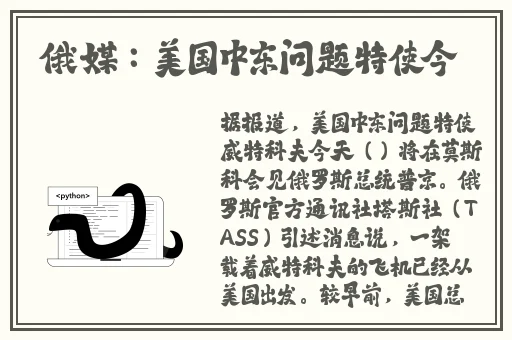 一级成色好的y31s标准版